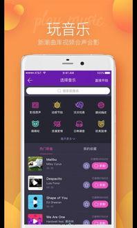 爆料短视频软件免费下载大全,一网打尽热门应用,畅享娱乐新体验 第2张 爆料短视频软件免费下载大全,一网打尽热门应用,畅享娱乐新体验 第2张